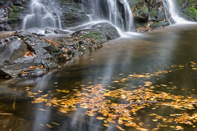 Spruce Flat Falls in Autumn