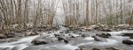 Smoky Mountain creek in winter