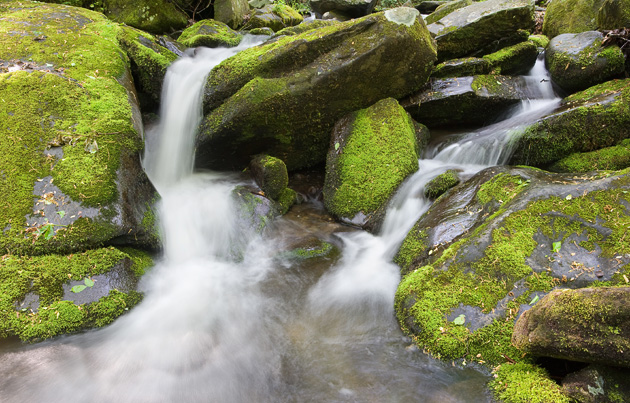 Roaring Fork creek in the Smoky Mountains
