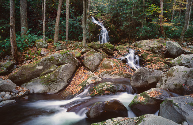 Smoky Mountains waterfalls: Mouse Creek