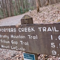 Favorite Trails: Porters Creek