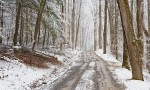 Winter Smoky Mountain road
