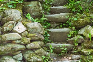 Stone steps 