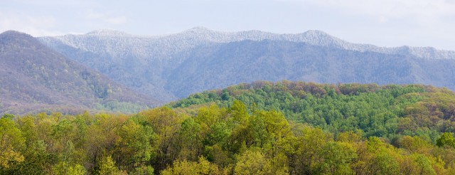 Spring Snow on Mt. LeConte © William Britten use with permission only