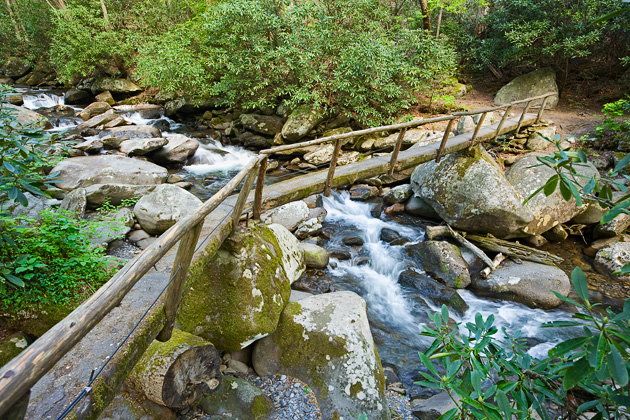 Smoky Mountains Footbridge  © William Britten use with permission only