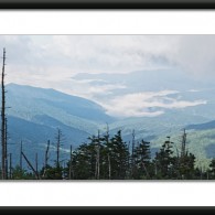 Wordless Wednesday: On Clingman’s Dome