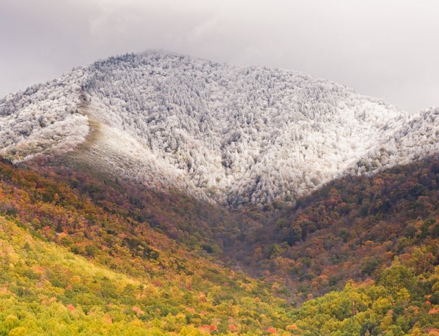 Autumn Snow on Mt. LeConte © William Britten use with permission only