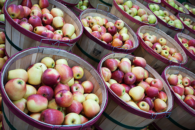 Carvers Orchard Market