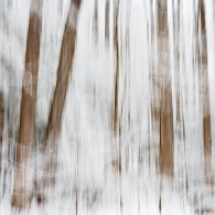 Wordless Wednesday: Impressionistic Snow Blur