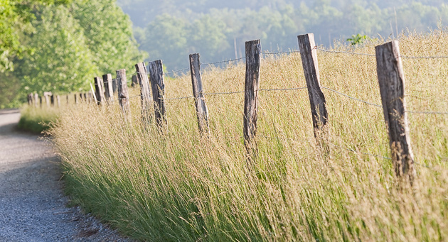 Barbed Wire Fence in Cades Cove © William Britten use with permission only