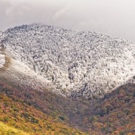 Ode to Mount LeConte