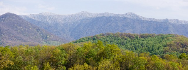Spring Snow in the Smoky Mountains