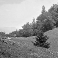 Smoky Mountains History: Indian Gap