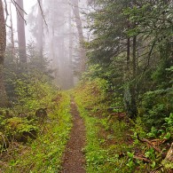 Easy High-elevation Hikes