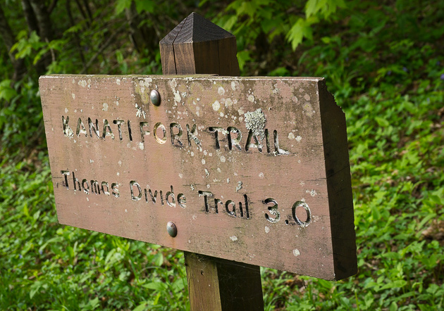 Smoky Mtn trail: Kanati Fork