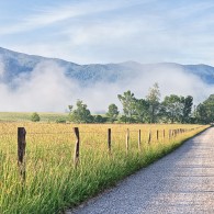 Featured Photo: Cades Cove Morning