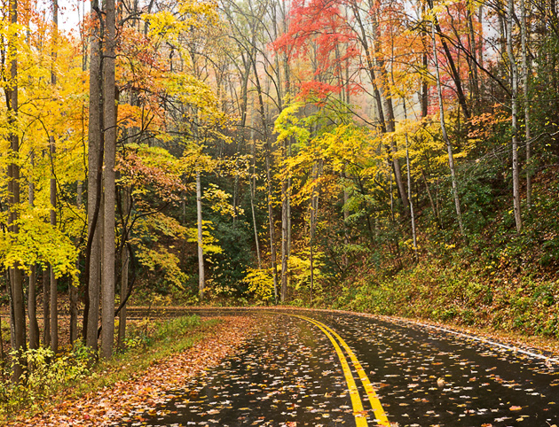 Driving through a Smoky Mountains Autumn