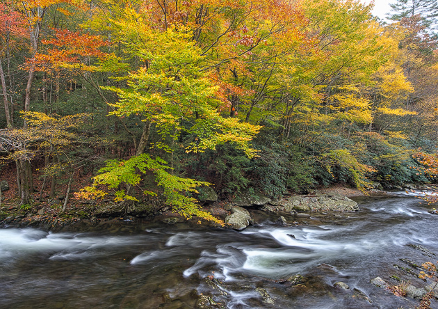 Little River Autumn Color