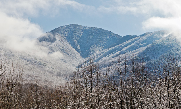 Mt. LeConte in Mist and Snow