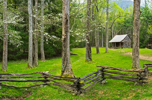 Smoky Mountains photos: Dogwood Home
