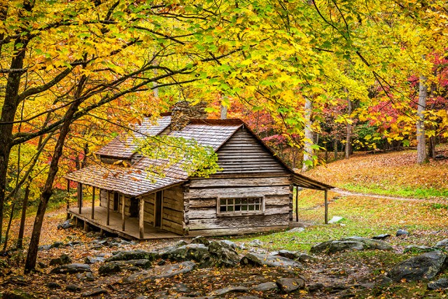 Autumn at the Ogle Cabin